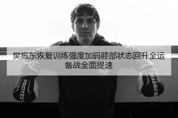 樊振东恢复训练强度加码膝部状态回升全运备战全面提速